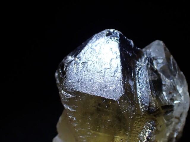 シトリンエレスチャル