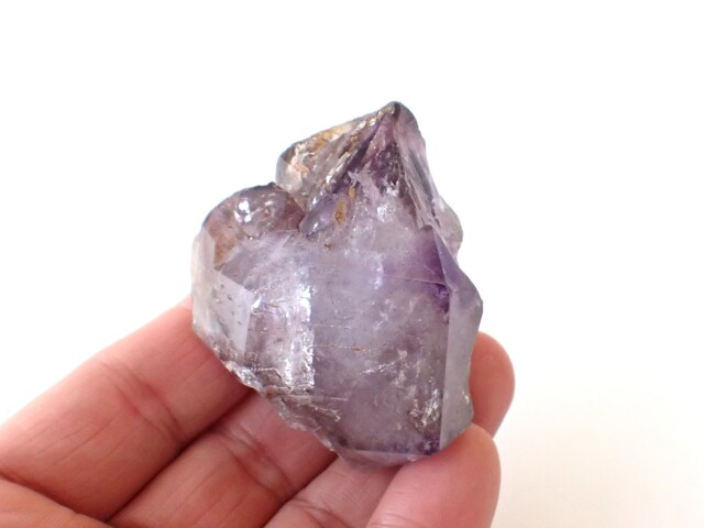 エスピリットサント産エレスチャルスーパーセブン