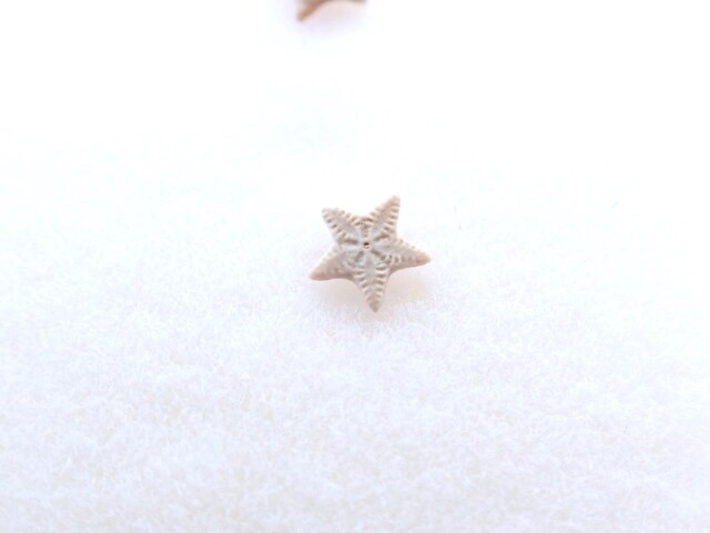 ペトリファイドクリノイド