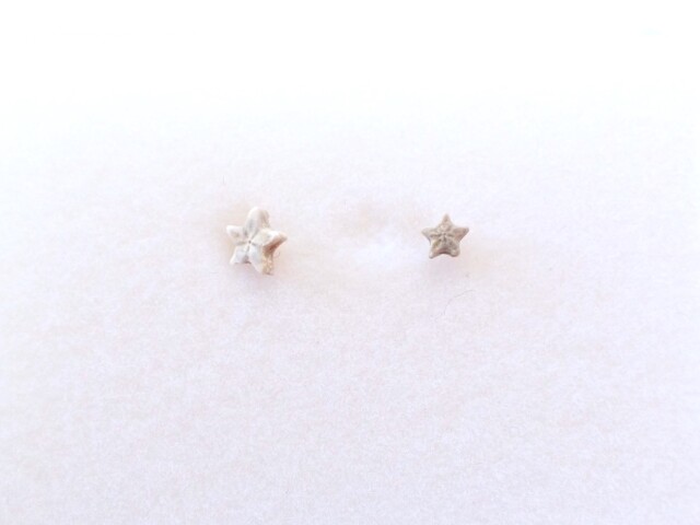 ペトリファイドクリノイド