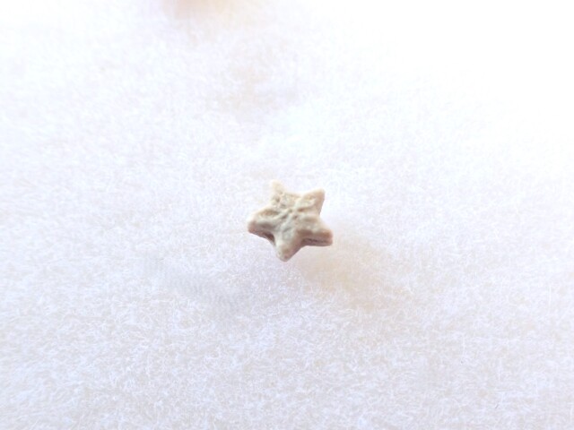 ペトリファイドクリノイド