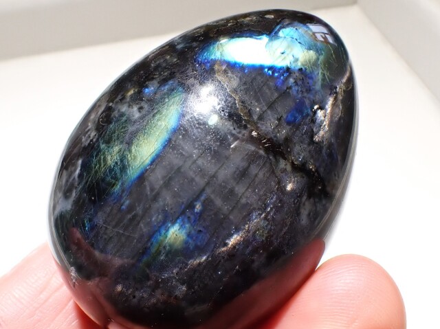 スペクトロライトエッグ