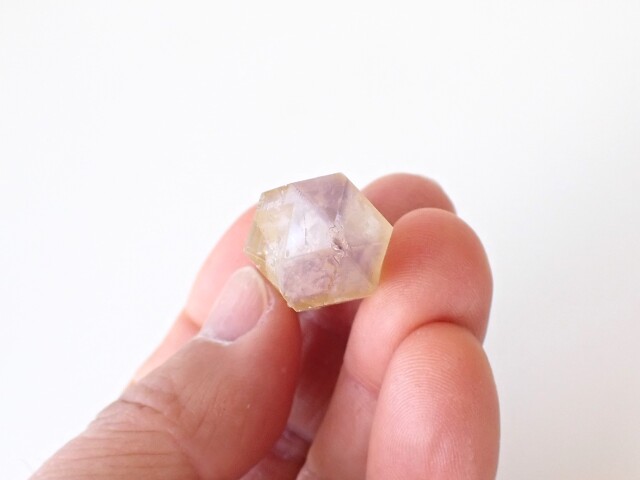 ドリームコートレムリアン