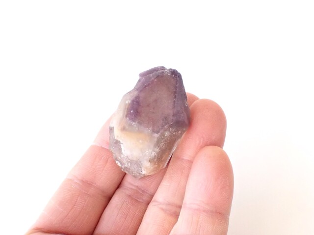 ドリームコートレムリアン