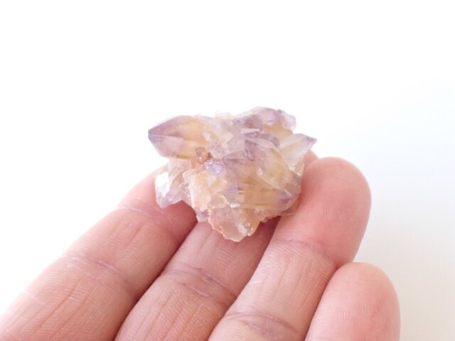 ドリームコートレムリアン