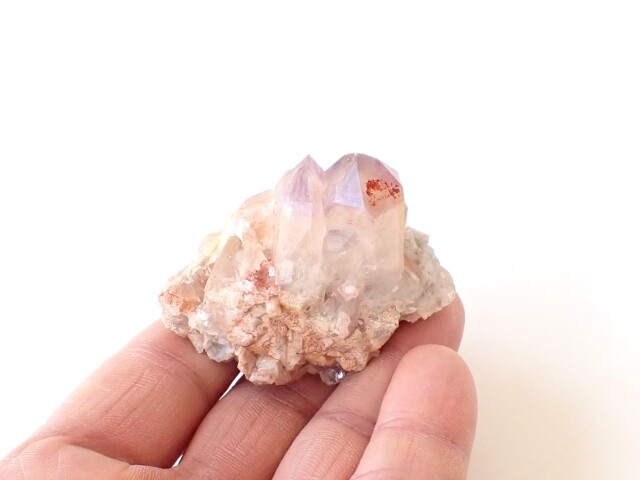 ドリームコートレムリアン