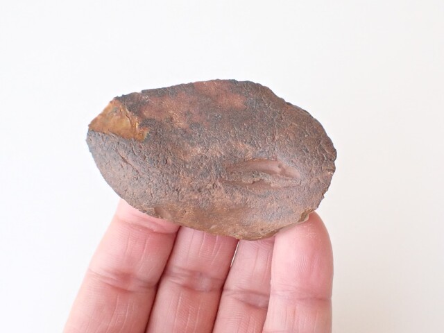 ナイルフリント