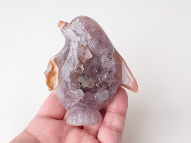 アメジストペンギン