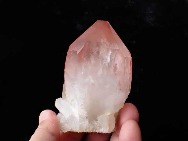 CCD384 ストロベリーレムリアンシードクリスタル 259．1g