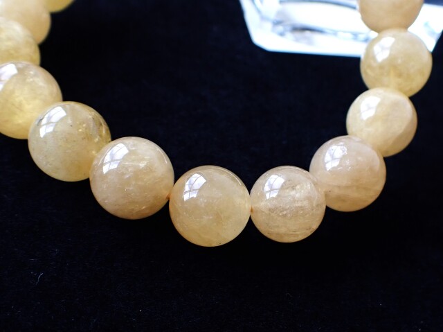 ゴールデンダンビュライト