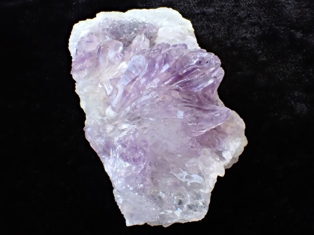 フラワーアメジスト