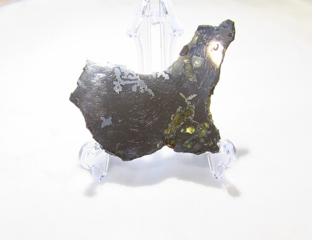 SS0020 【稀少】 セイムチャン隕石（Seymchan Meteorite） 原石